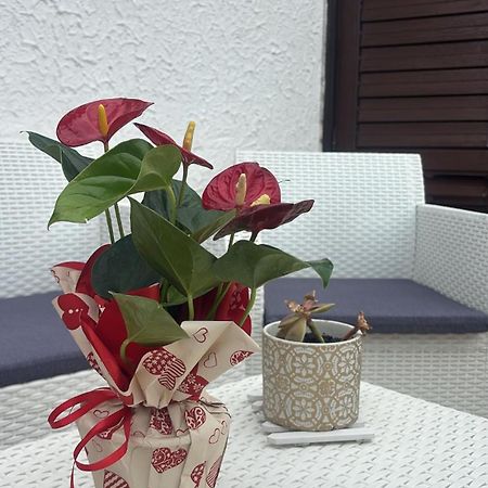 Appartamento Giardini Naxos Butterflies Home Schiso Extérieur photo